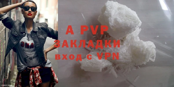 ПСИЛОЦИБИНОВЫЕ ГРИБЫ Пересвет