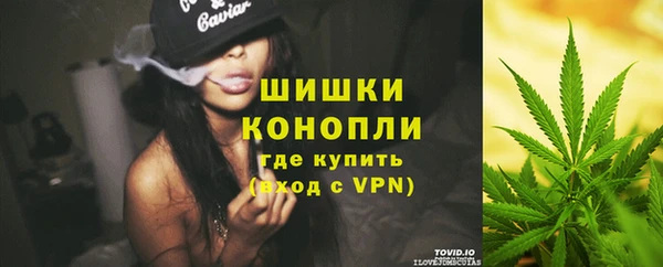 ПСИЛОЦИБИНОВЫЕ ГРИБЫ Пересвет