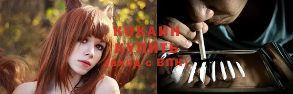 ПСИЛОЦИБИНОВЫЕ ГРИБЫ Пересвет