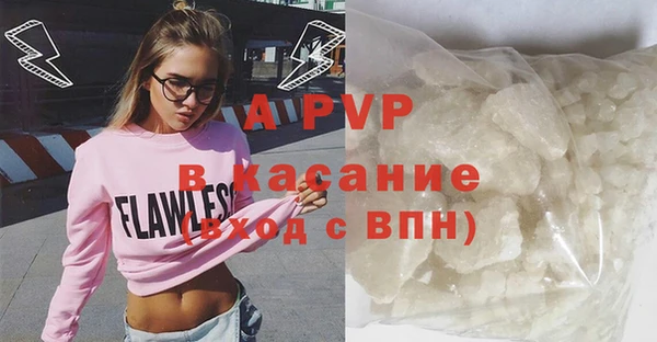 ПСИЛОЦИБИНОВЫЕ ГРИБЫ Пересвет