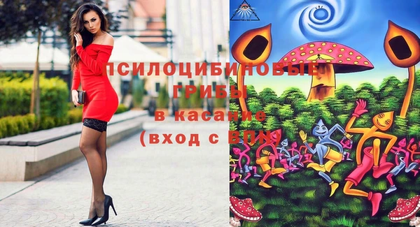 ПСИЛОЦИБИНОВЫЕ ГРИБЫ Пересвет
