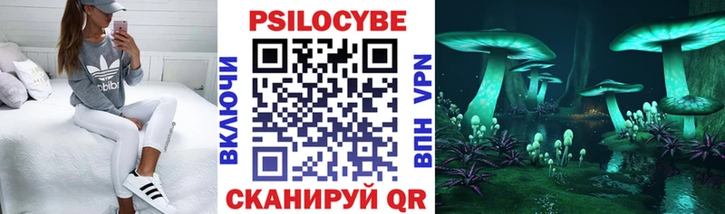 Псилоцибиновые грибы Magic Shrooms  закладка  Рыльск 